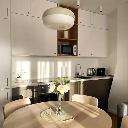 S45 Apt By Promodero Krakau Exterior foto