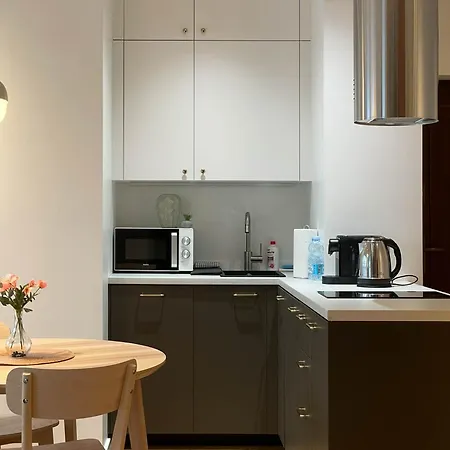 S45 Apt By Promodero Krakau Exterior foto