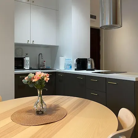 S45 Apt By Promodero Krakau Exterior foto
